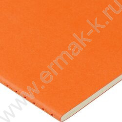 Тетрадь  40л клетка "Pragmatic.Оранжевый" 80 г/м2 бежевая бумага NEW | Фото 3