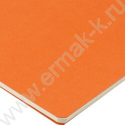 Тетрадь  40л клетка "Pragmatic.Оранжевый" 80 г/м2 бежевая бумага NEW | Фото 4