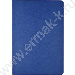 Тетрадь  40л клетка "Pragmatic.Синий" 80 г/м2 бежевая бумага NEW | Фото 2