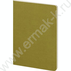 Тетрадь  40л клетка "Pragmatic.Зелёный хаки" 80 г/м2 бежевая бумага NEW | Фото 1