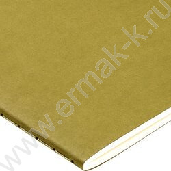 Тетрадь  40л клетка "Pragmatic.Зелёный хаки" 80 г/м2 бежевая бумага NEW | Фото 3