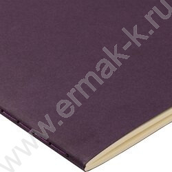 Тетрадь  40л клетка "Pragmatic.Фиолетовый" 80 г/м2 бежевая бумага NEW | Фото 3