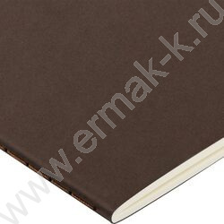 Тетрадь  40л клетка "Pragmatic.Темно-коричневый" 80 г/м2 бежевая бумага NEW | Фото 4