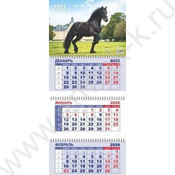 Календарь квартальный на 3-х гребнях/3месяца/ 2026г "Символ года-Год Лошади. Вороной" NEW | Фото 1