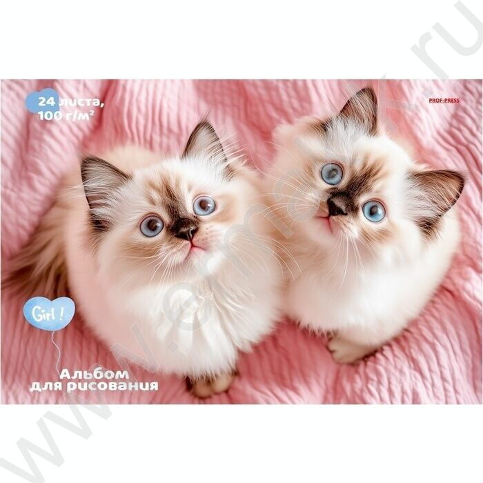 Альбом д/рисования 24л "Пара милых котят-1" ассорти | Фото 5
