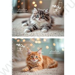 Альбом д/рисования-спираль 24л "Милые котята" /мат.лам.,выб.лак/ NEW | Фото 1