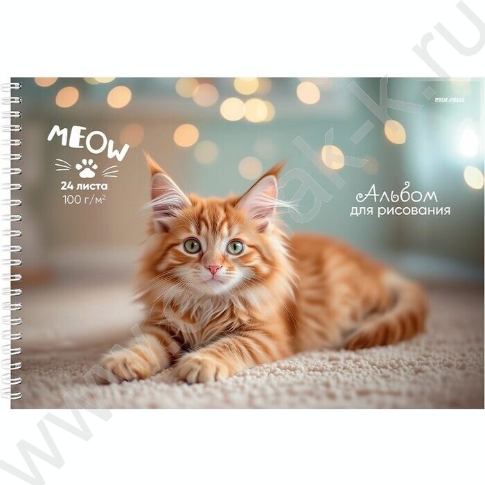 Альбом д/рисования-спираль 24л "Милые котята" /мат.лам.,выб.лак/ | Фото 3