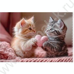 Альбом д/рисования-спираль 32л "Пара милых котят" NEW | Фото 3