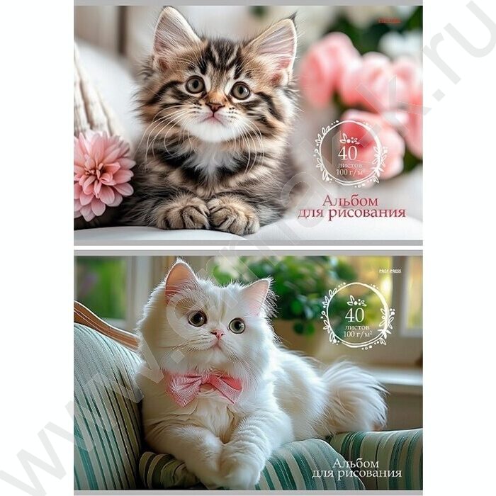 Альбом д/рисования 40л "Милые котики-2" | Фото 1
