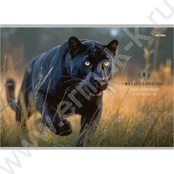 Альбом д/рисования 40л "Большие дикие кошки" /лен/ ассорти NEW | Фото 3