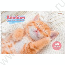 Альбом д/рисования-спираль 40л "Спящие котята" ассорти NEW | Фото 3