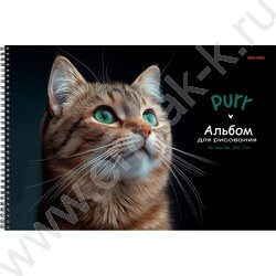 Альбом д/рисования-спираль 40л "Зеленоглазый котик" /мат.лам.,выб.лак/ NEW | Фото 1