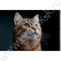 Альбом д/рисования-спираль 40л "Зеленоглазый котик" /мат.лам.,выб.лак/ NEW | Фото 3