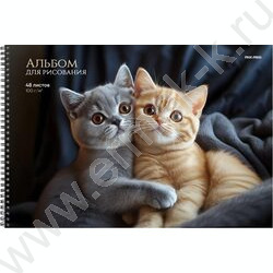 Альбом д/рисования-спираль 48л "Объятия котят" NEW | Фото 1