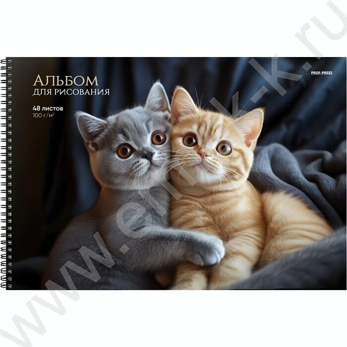 Альбом д/рисования-спираль 48л "Объятия котят" | Фото 1