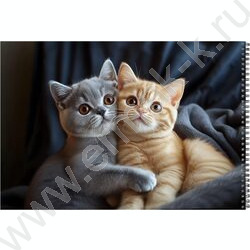 Альбом д/рисования-спираль 48л "Объятия котят" NEW | Фото 3
