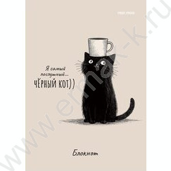 Блокнот  24л А6 "Послушный чёрный кот-1" ассорти NEW | Фото 5