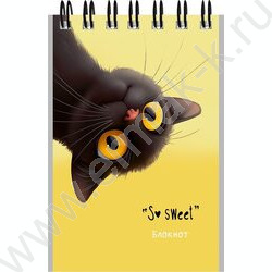 Блокнот  40л А7 спираль "Забавные котики-1" ассорти NEW | Фото 6