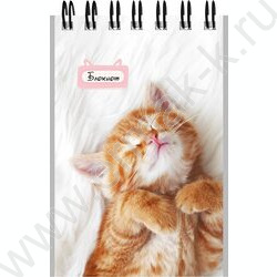 Блокнот  40л А7 спираль "Маленькие котята-1" ассорти NEW | Фото 4