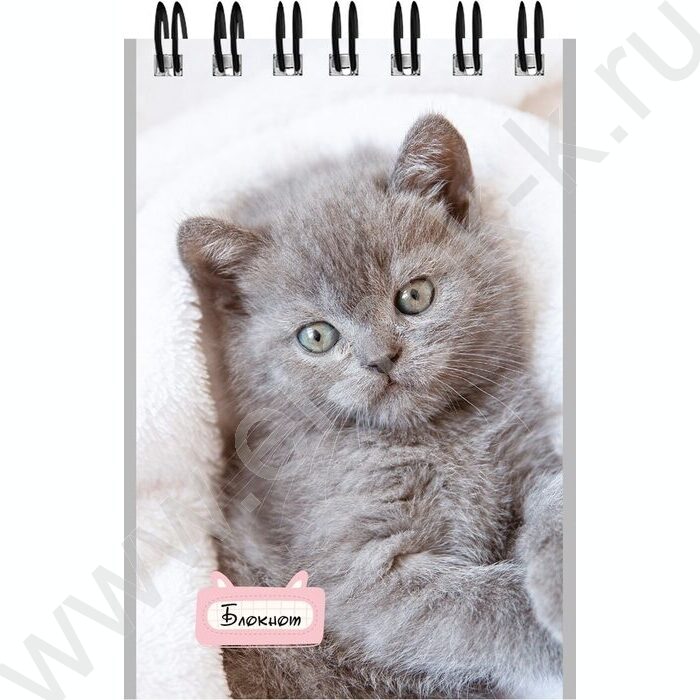 Блокнот  40л А7 спираль "Маленькие котята-1" ассорти | Фото 5