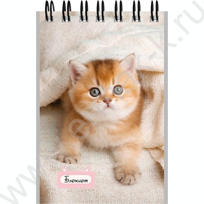 Блокнот  40л А7 спираль "Маленькие котята-1" ассорти | Фото 6