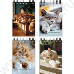 Блокнот  40л А7 спираль "Милые коты-3" ассорти NEW | Фото 1