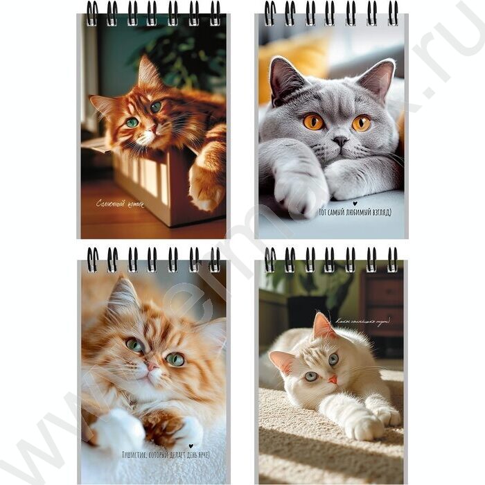 Блокнот  40л А7 спираль "Милые коты-3" ассорти | Фото 1