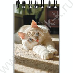 Блокнот  40л А7 спираль "Милые коты-3" ассорти NEW | Фото 3
