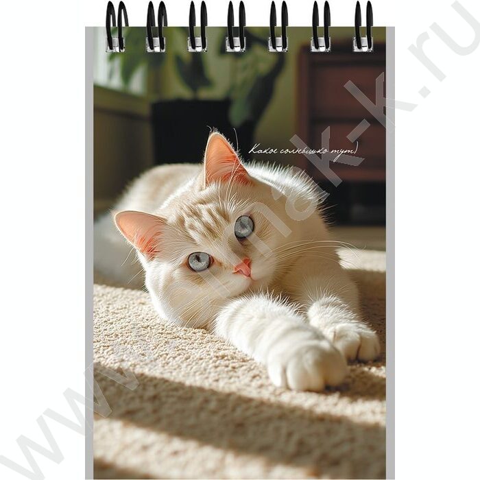 Блокнот  40л А7 спираль "Милые коты-3" ассорти | Фото 3