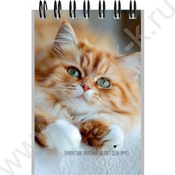 Блокнот  40л А7 спираль "Милые коты-3" ассорти NEW | Фото 4