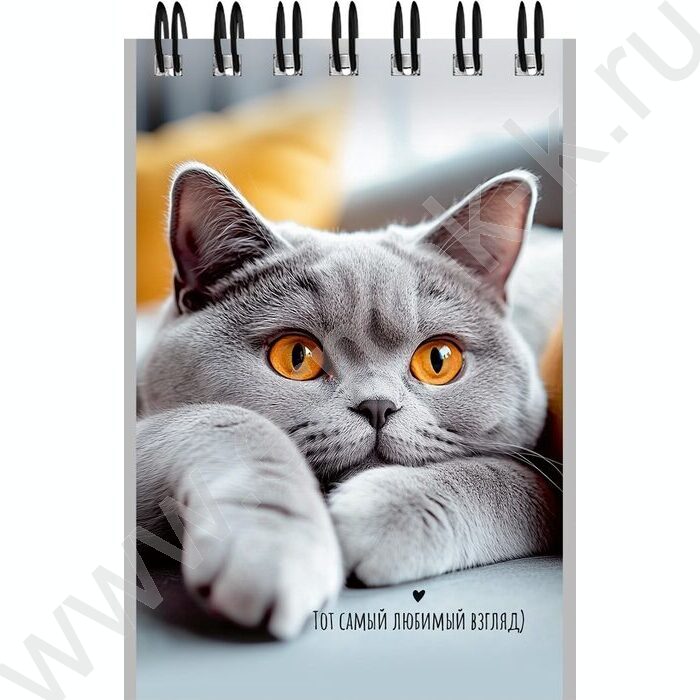 Блокнот  40л А7 спираль "Милые коты-3" ассорти | Фото 5