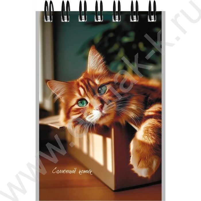 Блокнот  40л А7 спираль "Милые коты-3" ассорти | Фото 6