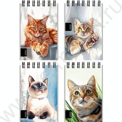 Блокнот  40л А7 спираль "Нарисованные котики" ассорти NEW | Фото 1