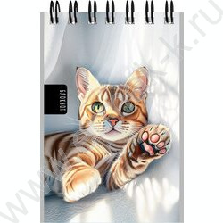 Блокнот  40л А7 спираль "Нарисованные котики" ассорти NEW | Фото 4
