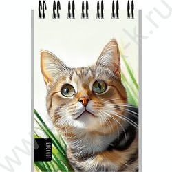 Блокнот  40л А7 спираль "Нарисованные котики" ассорти NEW | Фото 5