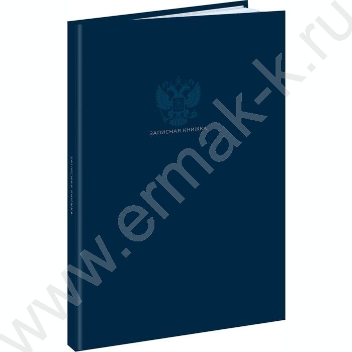 Зап. книжка  80л А4 тв.обл. "Однотонный минимализм" /глянц.лам/ | Фото 1
