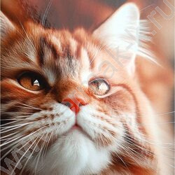 Зап. книжка  80л А5 тв.обл. "Фото котика" /глянец/ NEW | Фото 5