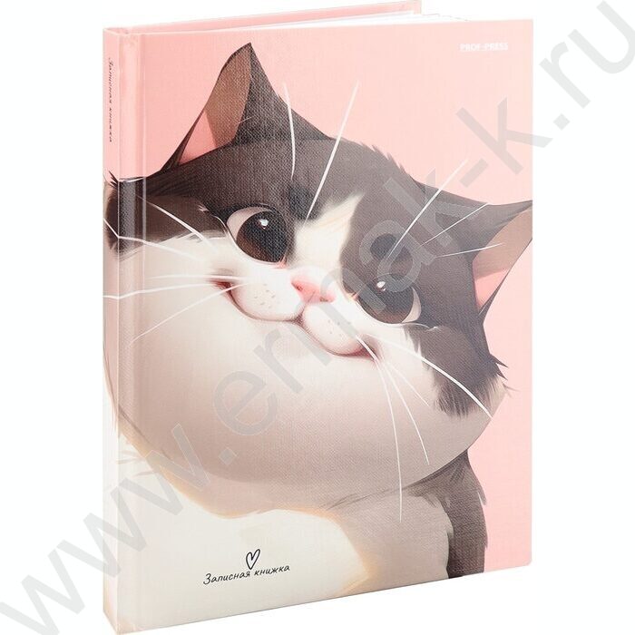 Зап. книжка 160л А5 тв.обл. "Коты-1" /глянц.лам,лен/ | Фото 1