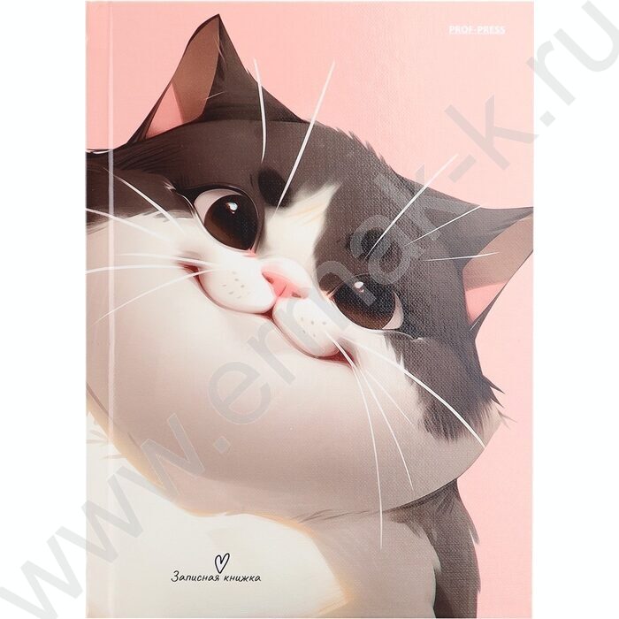 Зап. книжка 160л А5 тв.обл. "Коты-1" /глянц.лам,лен/ | Фото 2
