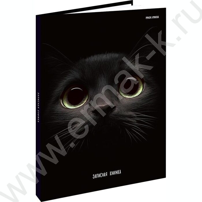 Зап. книжка 160л А5 тв.обл. "Взгляд кота" /глянц.лам/ | Фото 1