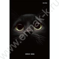 Зап. книжка 160л А5 тв.обл. "Взгляд кота" /глянц.лам/ NEW | Фото 2