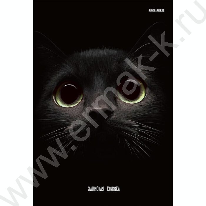 Зап. книжка 160л А5 тв.обл. "Взгляд кота" /глянц.лам/ | Фото 2