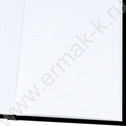 Зап. книжка 160л А5 тв.обл. "Взгляд кота" /глянц.лам/ NEW | Фото 3