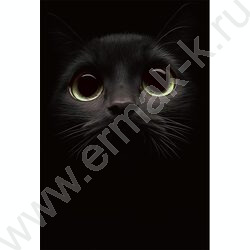 Зап. книжка 160л А5 тв.обл. "Взгляд кота" /глянц.лам/ NEW | Фото 4