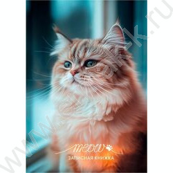 Зап. книжка  48л А6 тв.обл. "Фото котика-1" /глянц.лам/ NEW | Фото 2