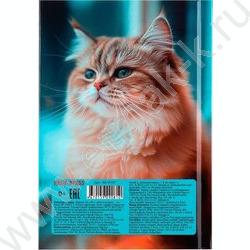 Зап. книжка  48л А6 тв.обл. "Фото котика-1" /глянц.лам/ NEW | Фото 4