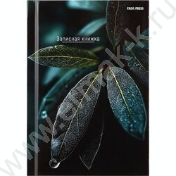 Зап. книжка  64л А6 тв.обл. "Листья-1" /глянц.лам/ NEW | Фото 2