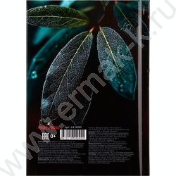 Зап. книжка  64л А6 тв.обл. "Листья-1" /глянц.лам/ NEW | Фото 4