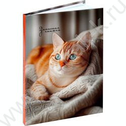 Зап. книжка  64л А6 тв.обл. "Фото котика-2" /глянц.лам/ NEW | Фото 1