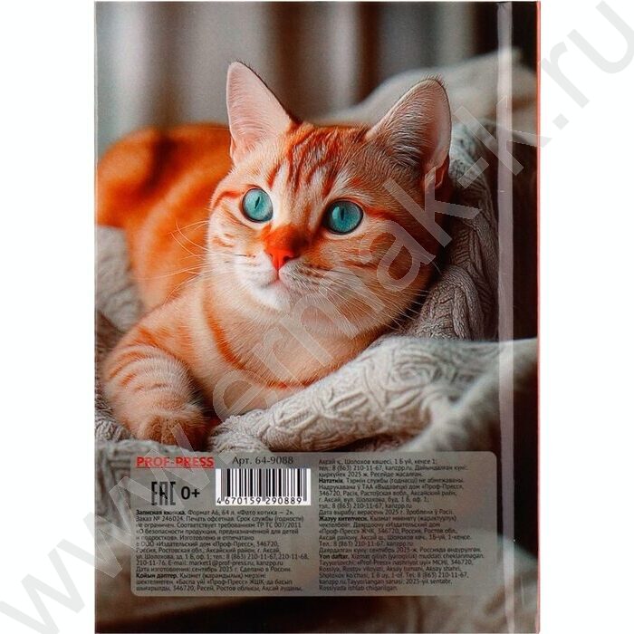 Зап. книжка  64л А6 тв.обл. "Фото котика-2" /глянц.лам/ | Фото 4